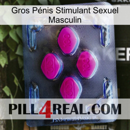 Gros Pénis Stimulant Sexuel Masculin 02